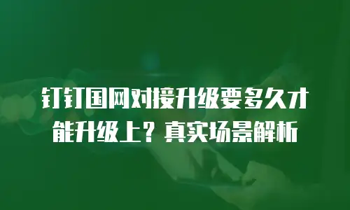 钉钉国网对接升级要多久才能升级上？真实场景解析