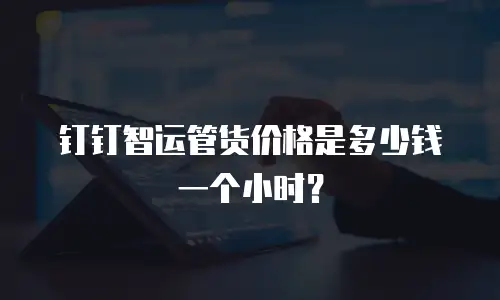 钉钉智运管货价格是多少钱一个小时？