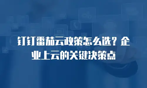 钉钉番茄云政策怎么选？企业上云的关键决策点