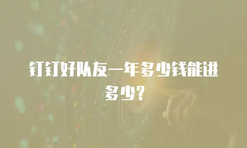 钉钉好队友一年多少钱能进多少？