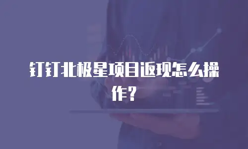 钉钉北极星项目返现怎么操作？