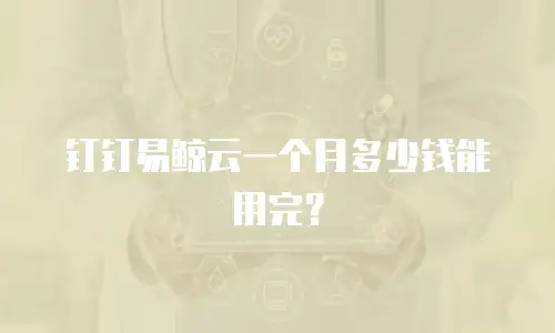 钉钉易鲸云一个月多少钱能用完？