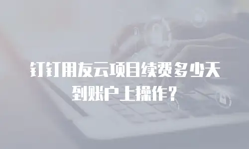 钉钉用友云项目续费多少天到账户上操作？