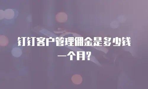 钉钉客户管理佣金是多少钱一个月？