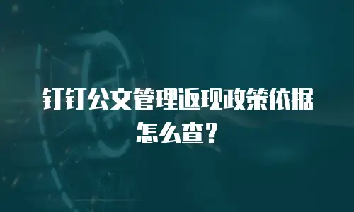 钉钉公文管理返现政策依据怎么查？