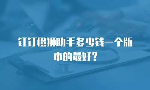 钉钉橙狮助手多少钱一个版本的最好？