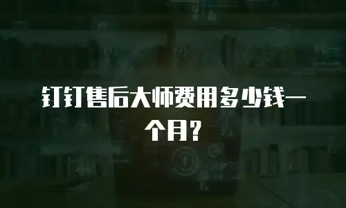 钉钉售后大师费用多少钱一个月？