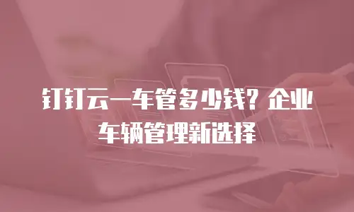 钉钉云一车管多少钱？企业车辆管理新选择
