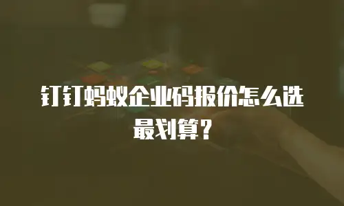 钉钉蚂蚁企业码报价怎么选最划算？