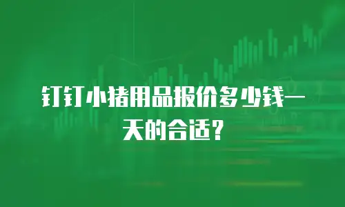 钉钉小猪用品报价多少钱一天的合适？