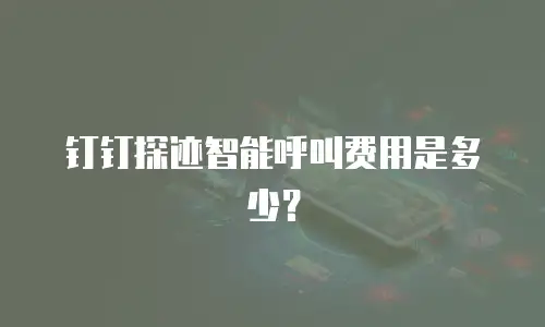钉钉探迹智能呼叫费用是多少？