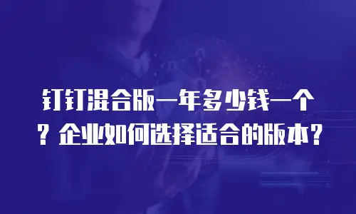 钉钉混合版一年多少钱一个？企业如何选择适合的版本？