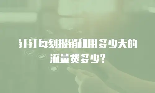 钉钉每刻报销租用多少天的流量费多少？