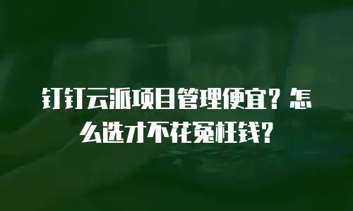 钉钉云派项目管理便宜？怎么选才不花冤枉钱？