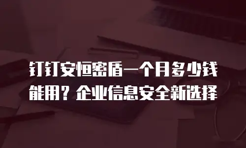 钉钉安恒密盾一个月多少钱能用？企业信息安全新选择