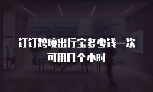 钉钉跨境出行宝多少钱一次 可用几个小时