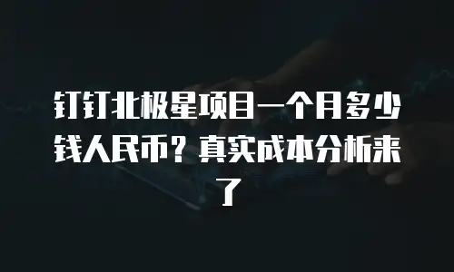 钉钉北极星项目一个月多少钱人民币？真实成本分析来了