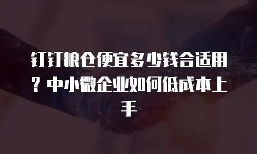 钉钉粮仓便宜多少钱合适用？中小微企业如何低成本上手