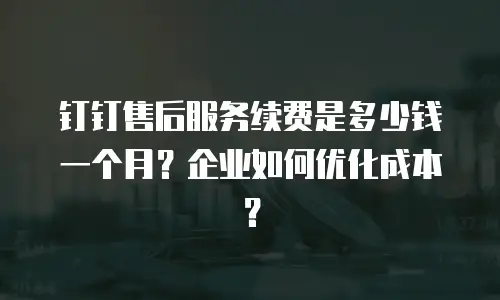 钉钉售后服务续费是多少钱一个月？企业如何优化成本？