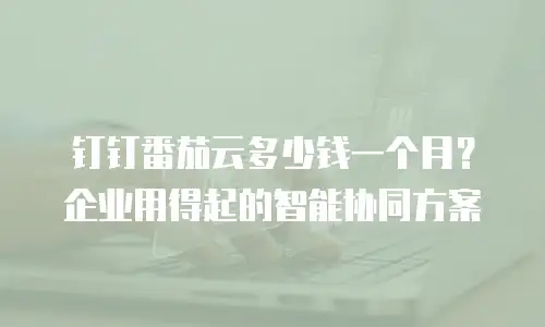 钉钉番茄云多少钱一个月？企业用得起的智能协同方案