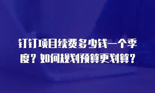 钉钉项目续费多少钱一个季度？如何规划预算更划算？