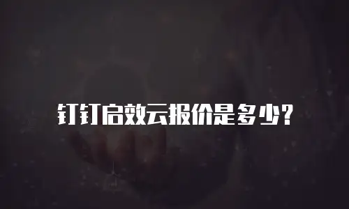 钉钉启效云报价是多少？