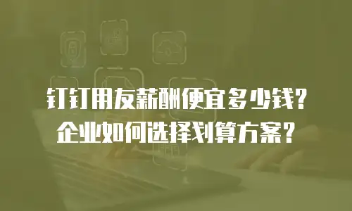 钉钉用友薪酬便宜多少钱？企业如何选择划算方案？