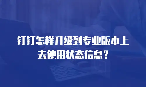 钉钉怎样升级到专业版本上去使用状态信息？