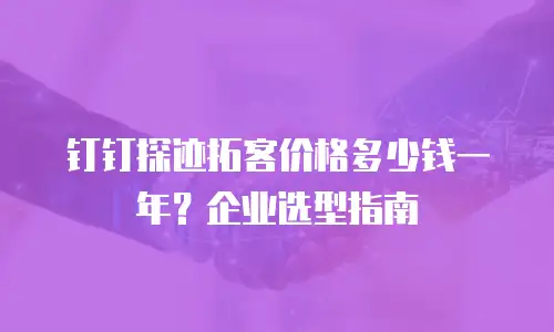 钉钉探迹拓客价格多少钱一年？企业选型指南