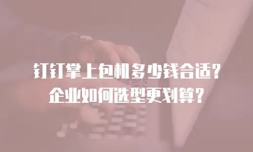 钉钉掌上包机多少钱合适？企业如何选型更划算？