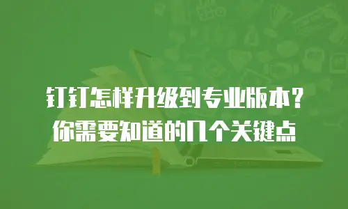 钉钉怎样升级到专业版本？你需要知道的几个关键点