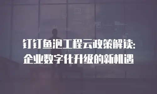 钉钉鱼泡工程云政策解读：企业数字化升级的新机遇