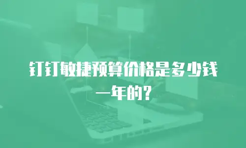 钉钉敏捷预算价格是多少钱一年的？