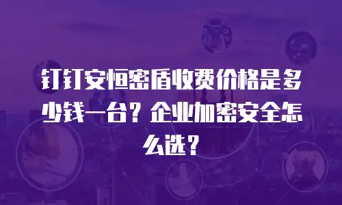 钉钉安恒密盾收费价格是多少钱一台？企业加密安全怎么选？