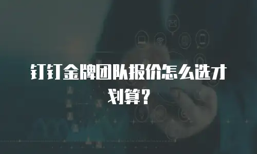 钉钉金牌团队报价怎么选才划算？
