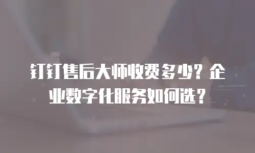 钉钉售后大师收费多少？企业数字化服务如何选？