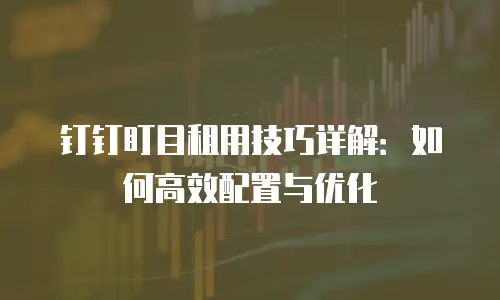 钉钉盯目租用技巧详解：如何高效配置与优化