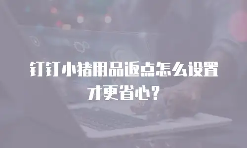 钉钉小猪用品返点怎么设置才更省心？