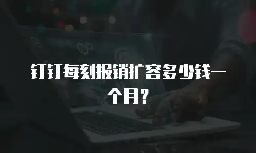 钉钉每刻报销扩容多少钱一个月？