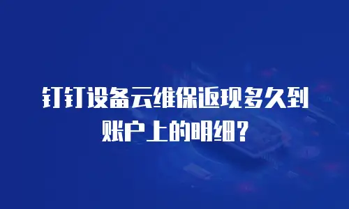 钉钉设备云维保返现多久到账户上的明细？