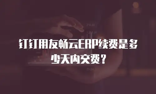 钉钉用友畅云ERP续费是多少天内交费？