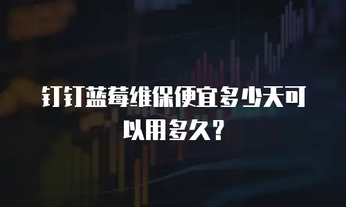 钉钉蓝莓维保便宜多少天可以用多久？
