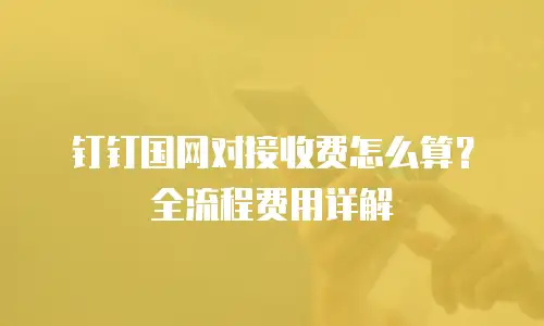 钉钉国网对接收费怎么算？全流程费用详解