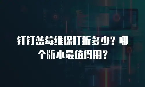 钉钉蓝莓维保打折多少？哪个版本最值得用？