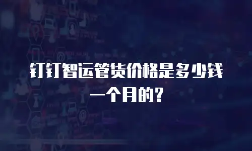 钉钉智运管货价格是多少钱一个月的？