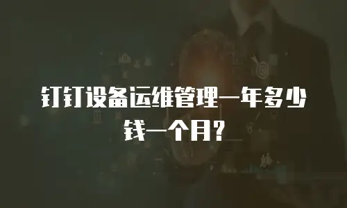 钉钉设备运维管理一年多少钱一个月？