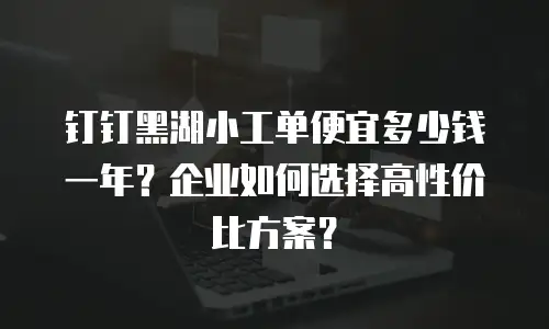 钉钉黑湖小工单便宜多少钱一年？企业如何选择高性价比方案？