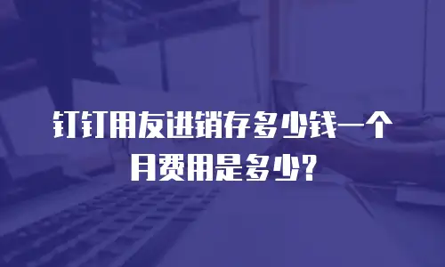 钉钉用友进销存多少钱一个月费用是多少？