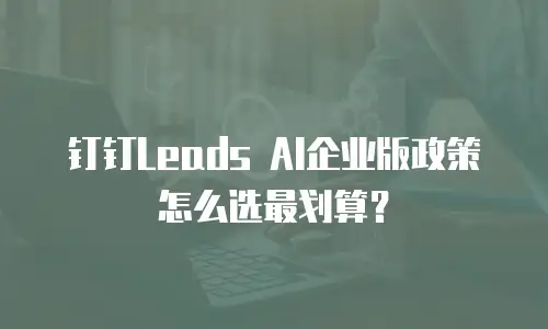 钉钉Leads AI企业版政策怎么选最划算？