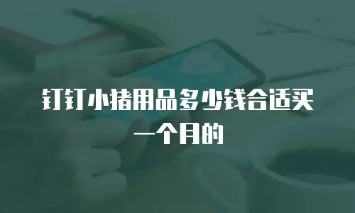 钉钉小猪用品多少钱合适买一个月的